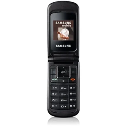 Samsung B300 Tuşlu Cep Telefonu